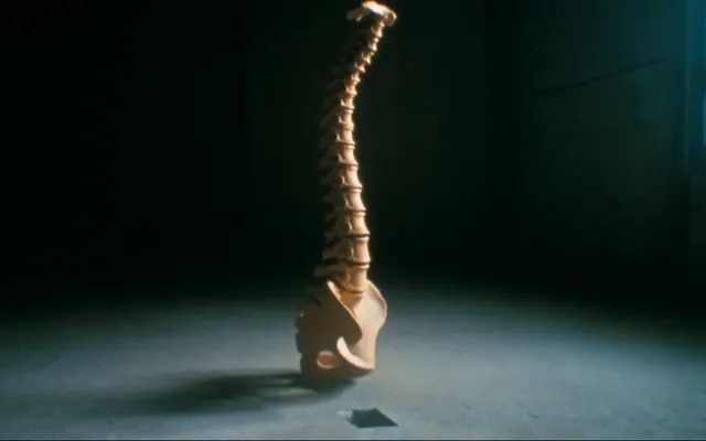 Modello anatomico di colonna vertebrale illuminato di lato